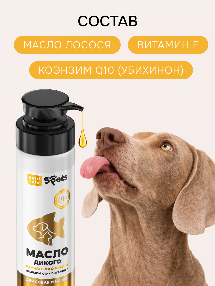 Состав