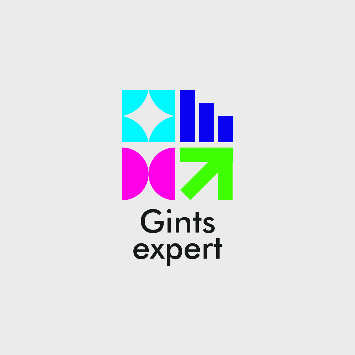 Gints Expert — Digital-идентичность для новой школы